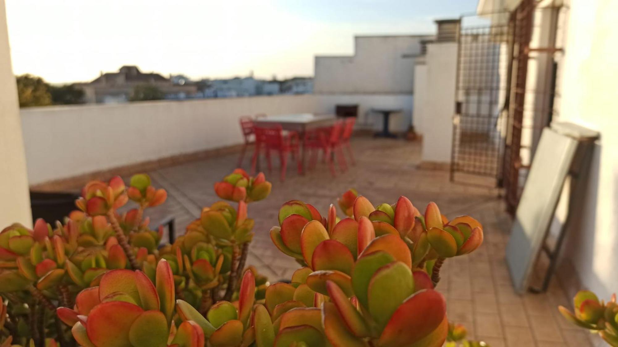 Atardeceres Surenos - Gran Terraza - Parking Jerez de la Frontera Eksteriør billede